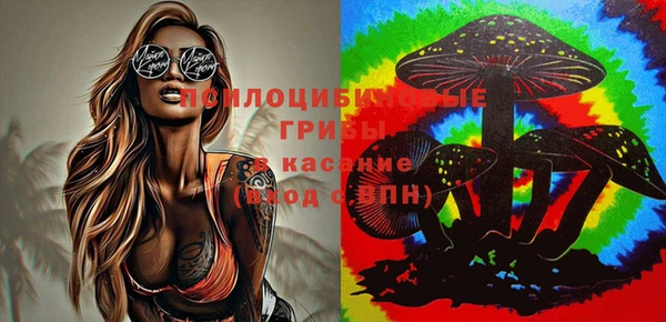 кокс Козельск