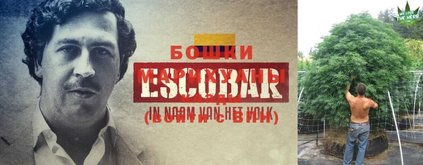 MESCALINE Козловка