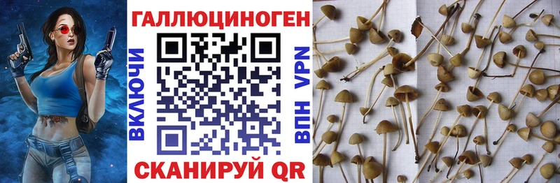 Псилоцибиновые грибы ЛСД  Купить  Тырныауз 